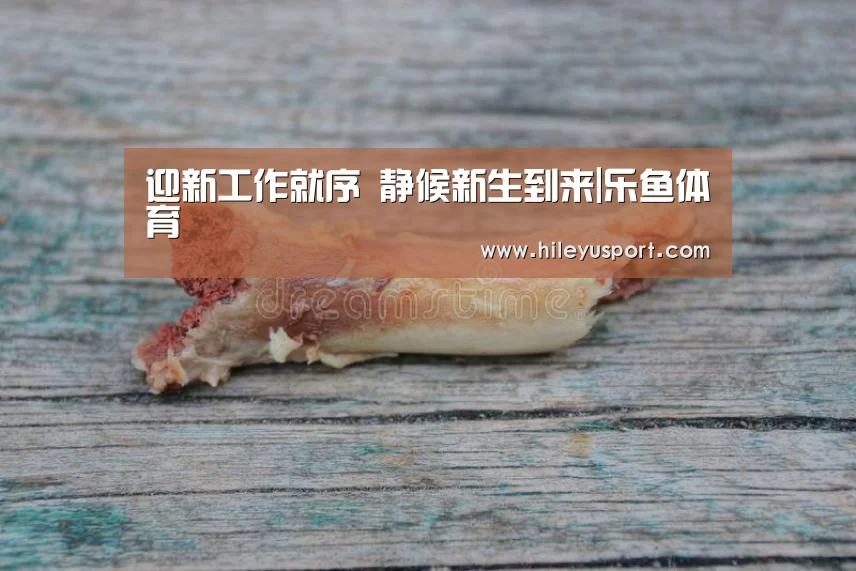 迎新工作就序 静候新生到来|乐鱼体育(图2) 乐鱼体育官网入口