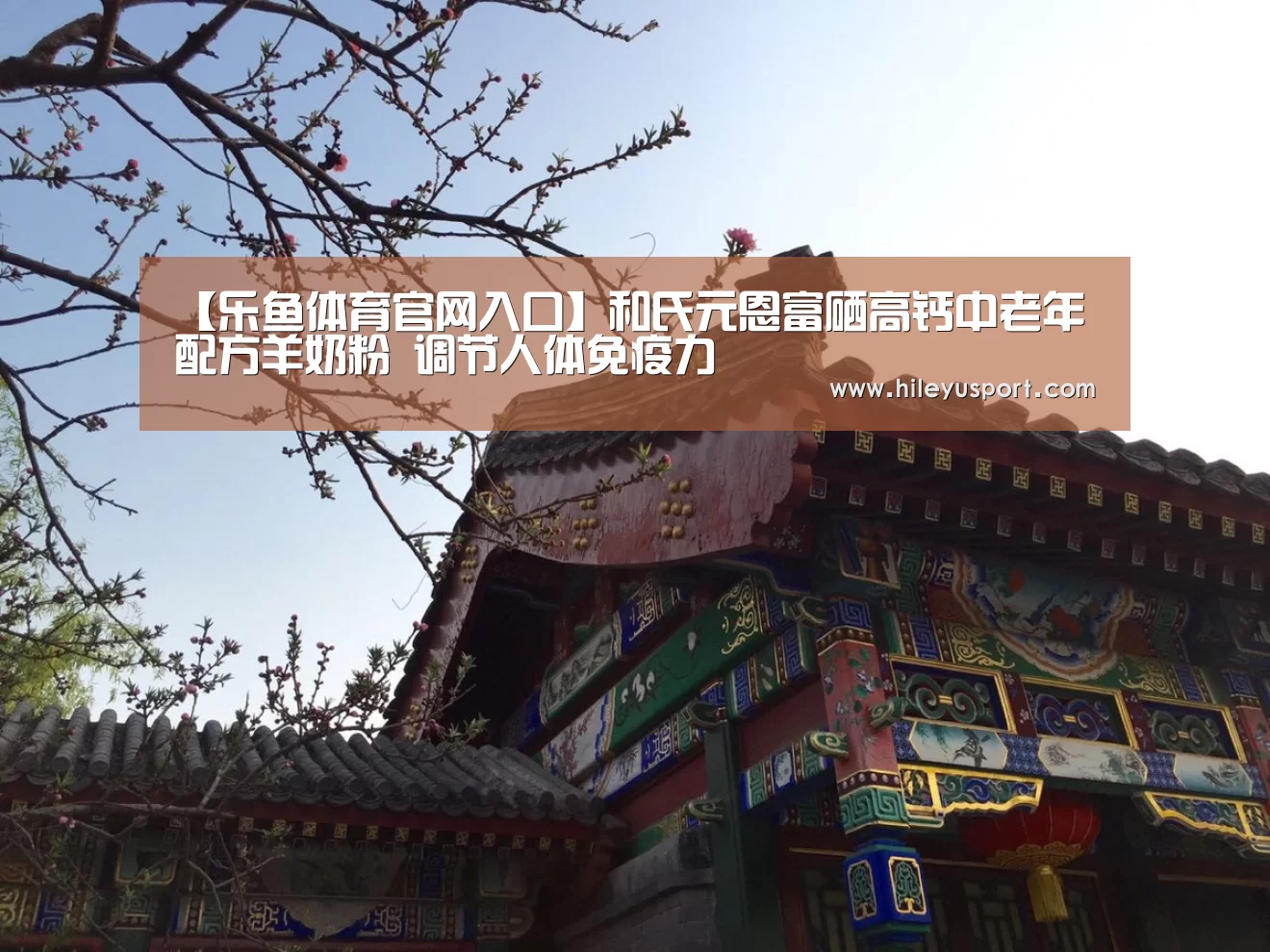 乐鱼体育官网入口