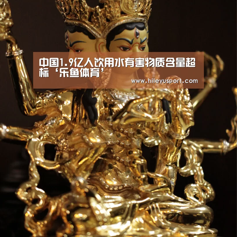 乐鱼体育官网入口