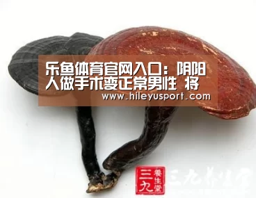 乐鱼体育官网入口