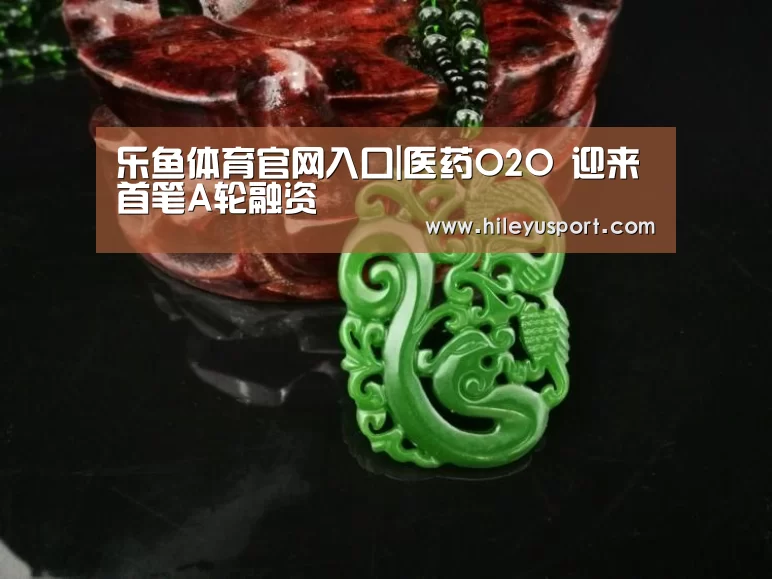 乐鱼体育官网入口|医药O2O 迎来首笔A轮融资
